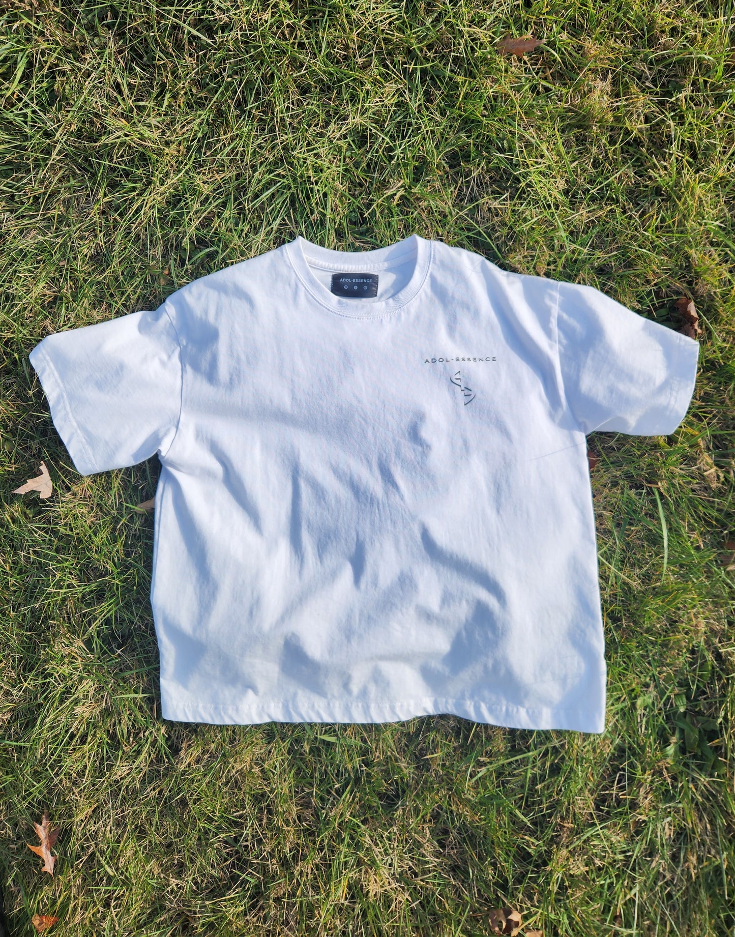 AE Crossword Tee