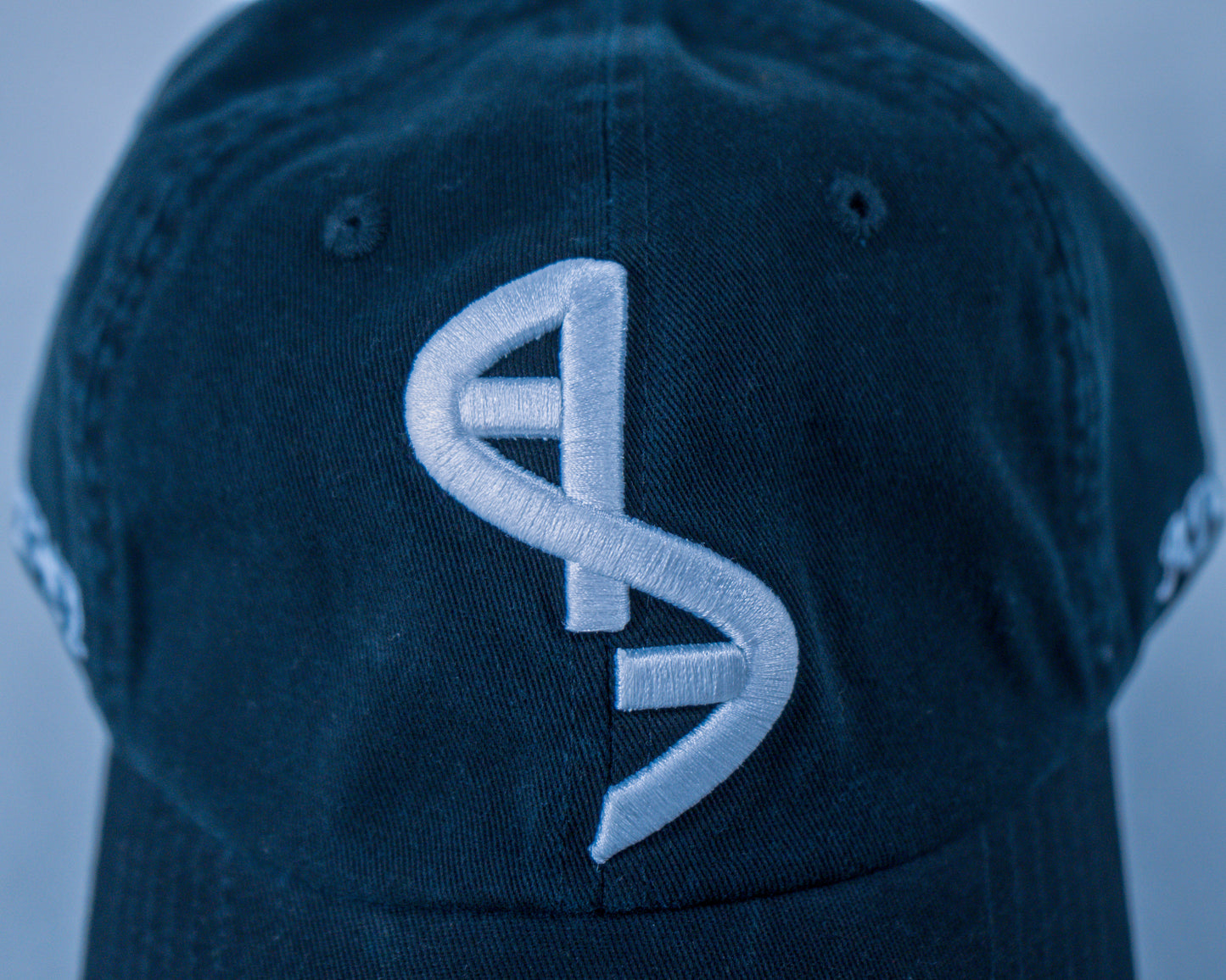 AE Logo Cap